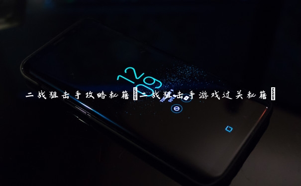 二战狙击手攻略秘籍(二战狙击手游戏过关秘籍)