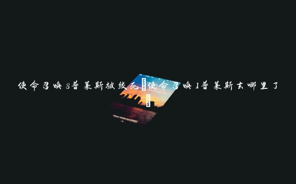 使命召唤8普莱斯被绞死(使命召唤1普莱斯去哪里了)