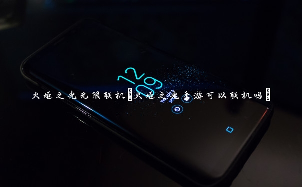 火炬之光无限联机(火炬之光手游可以联机吗)