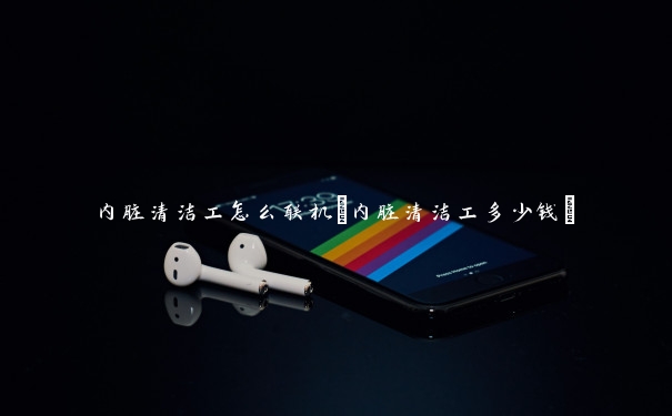 内脏清洁工怎么联机(内脏清洁工多少钱)