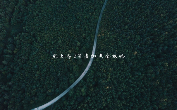 龙之谷2贤者加点全攻略