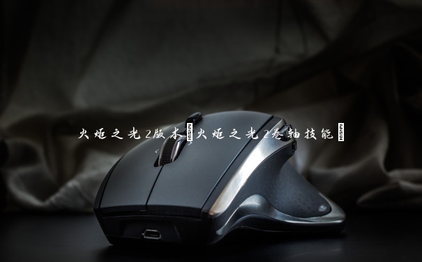 火炬之光2版本(火炬之光2卷轴技能)