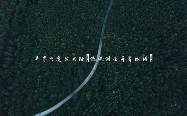 异界之魔武大陆(流氓剑圣异界纵横)
