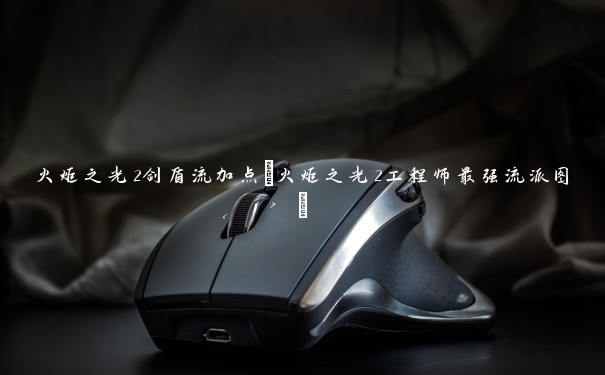 火炬之光2剑盾流加点(火炬之光2工程师最强流派图)