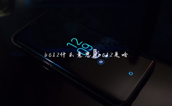 b612什么意思　b612是啥