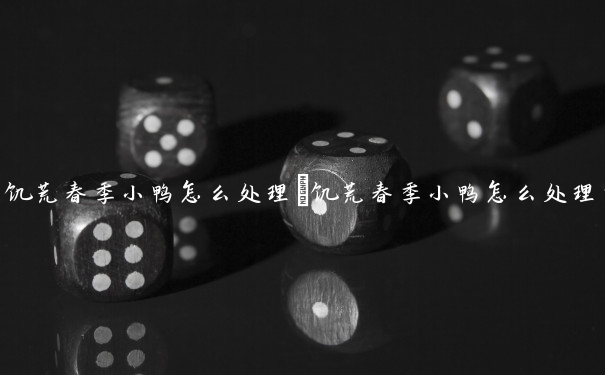 饥荒春季小鸭怎么处理　饥荒春季小鸭怎么处理的