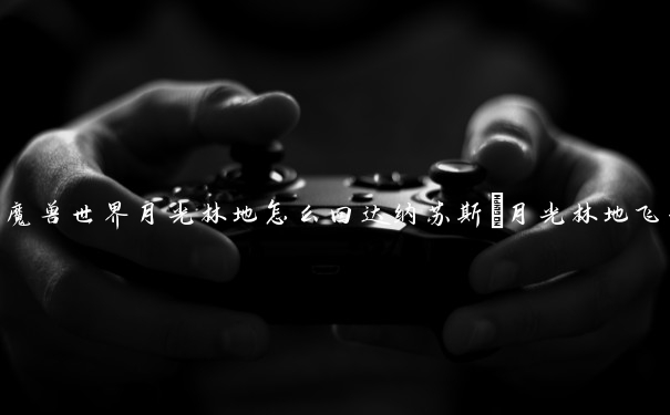 魔兽世界月光林地怎么回达纳苏斯_月光林地飞行点
