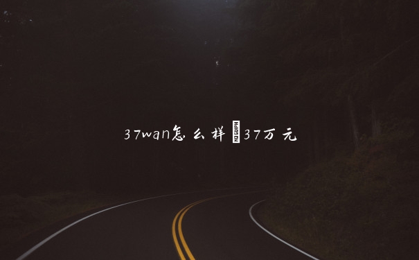 37wan怎么样　37万元