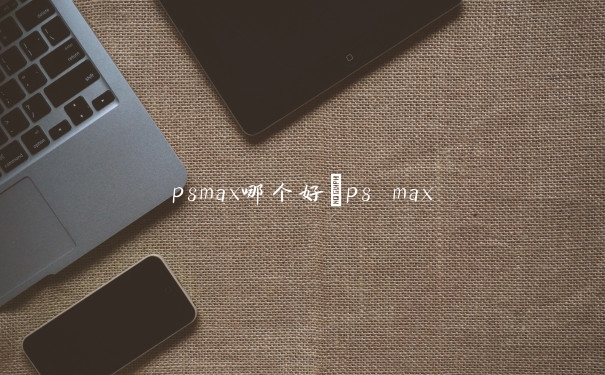 p8max哪个好　p8 max