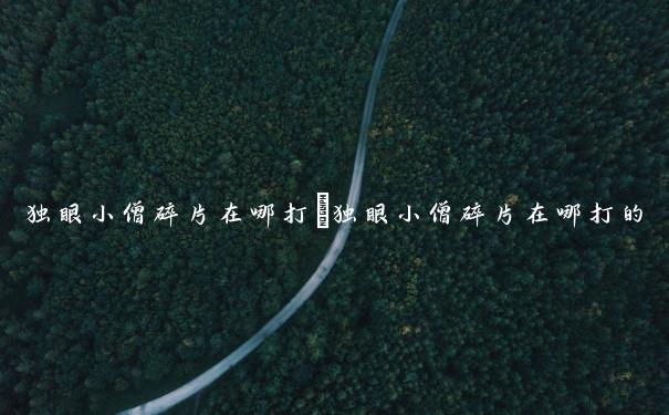 独眼小僧碎片在哪打　独眼小僧碎片在哪打的