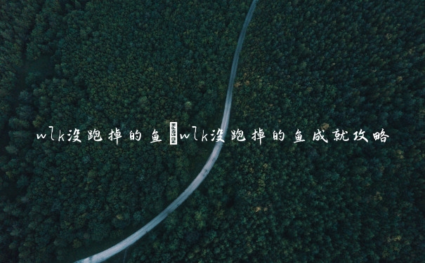 wlk没跑掉的鱼　wlk没跑掉的鱼成就攻略
