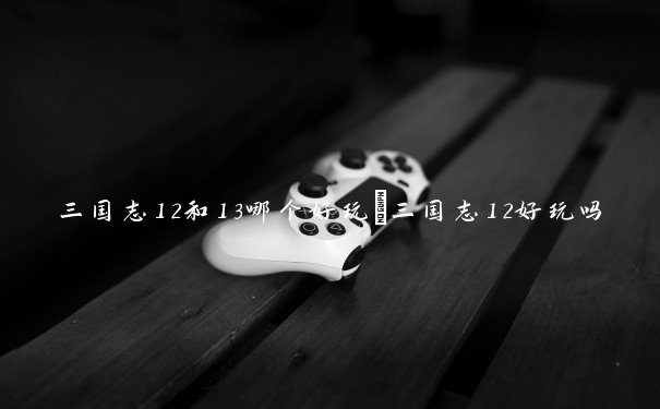 三国志12和13哪个好玩_三国志12好玩吗