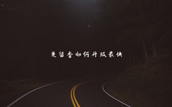 楚留香如何升级最快