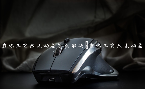 崩坏三突然未响应怎么解决　崩坏三突然未响应怎么解决问题