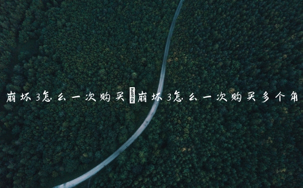 崩坏3怎么一次购买　崩坏3怎么一次购买多个角色