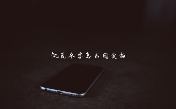 饥荒冬季怎么囤食物