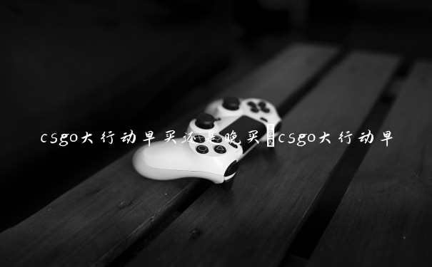 csgo大行动早买还是晚买　csgo大行动早买还是晚买好