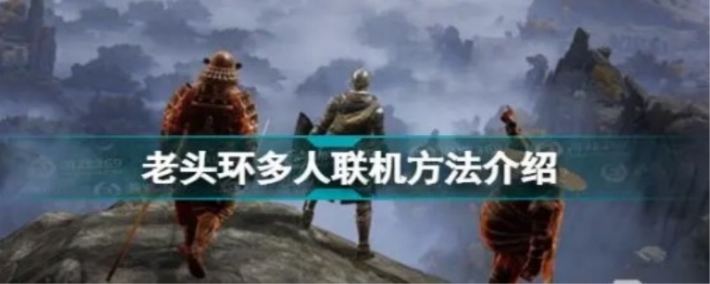 老头环联机机制是什么