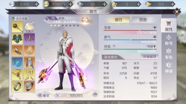 完美世界手游法师职业全面解析与攻略