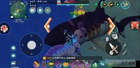 《创造与魔法》幼鲭鲨捕捉攻略：准备工作、地点、步骤及注意事项