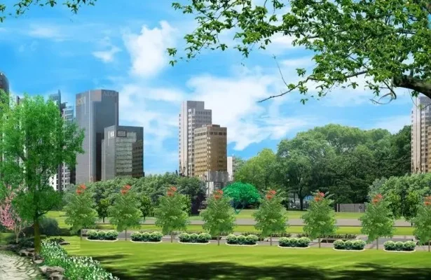 城市天际线绿化：提升形象、改善空气、促进可持续发展的多重益处
