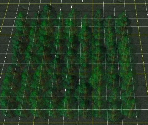 魔兽争霸3种树技巧：快速种植与地图编辑法