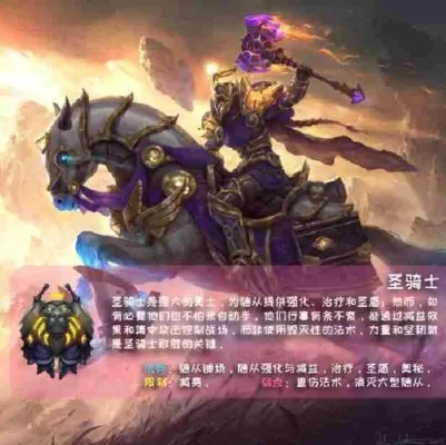 骑士与圣骑士：起源、职责、地位与组织结构差异解析