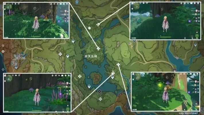 须弥花圃攻略：五处苗圃路线指引及奖励详解