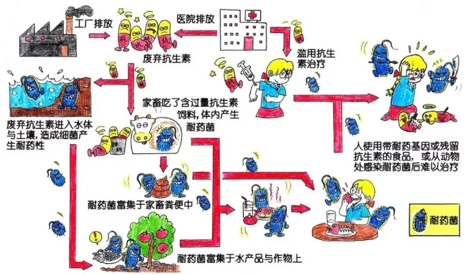 辐射4疾病治疗攻略：抗生素选择、营养支持及团队合作要点